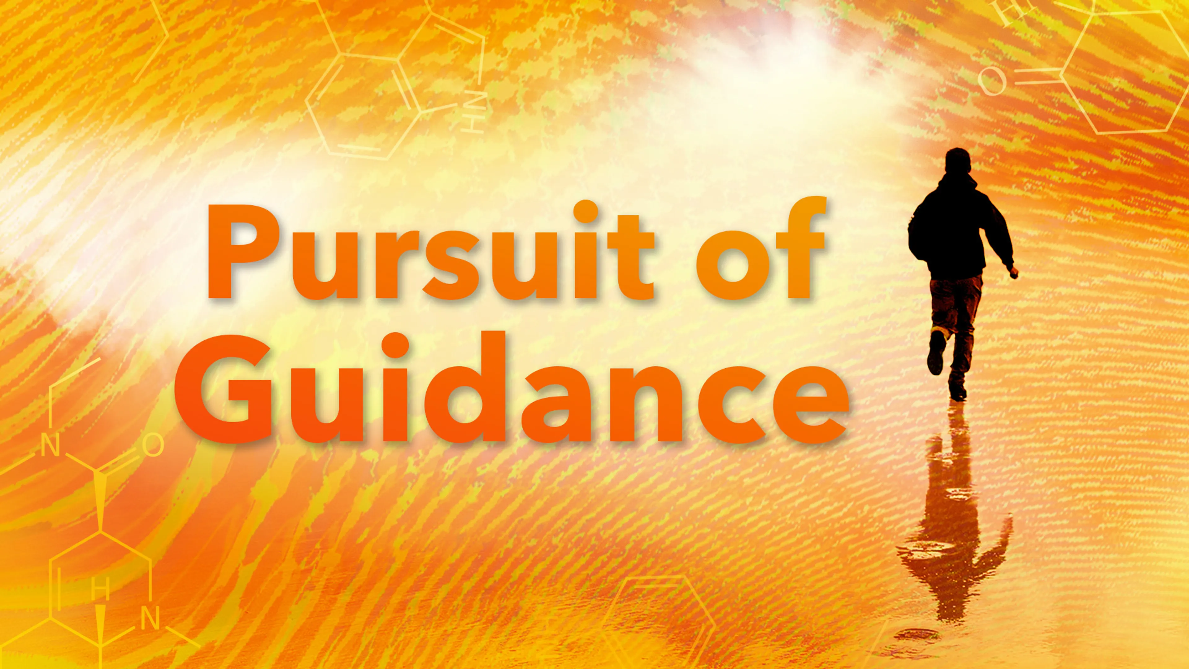 Pursuit of Guidance poster